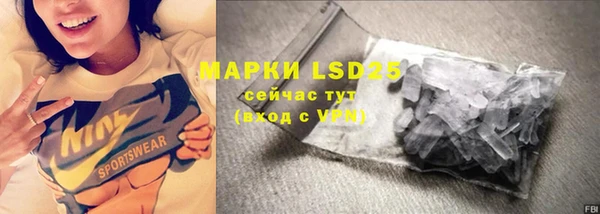 индика Абаза