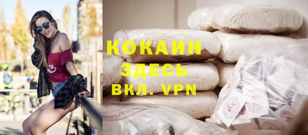индика Абаза