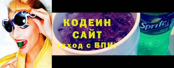 индика Абаза