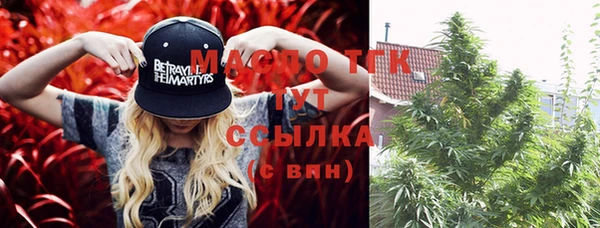 индика Абаза