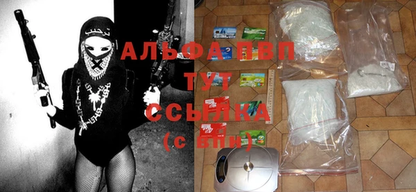 индика Абаза