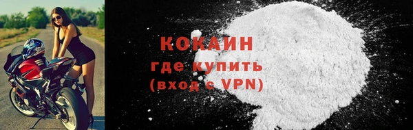 индика Абаза
