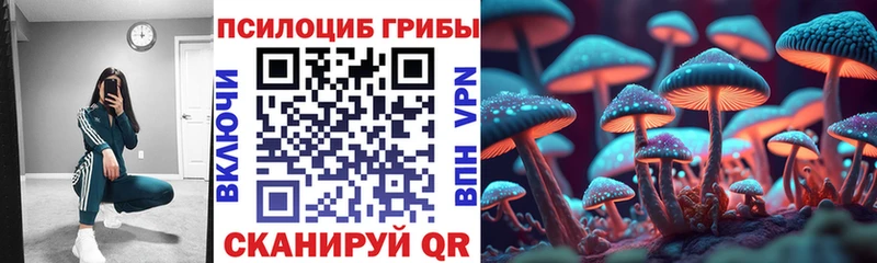 мега зеркало  Уржум  Галлюциногенные грибы Psilocybine cubensis  дарнет шоп 